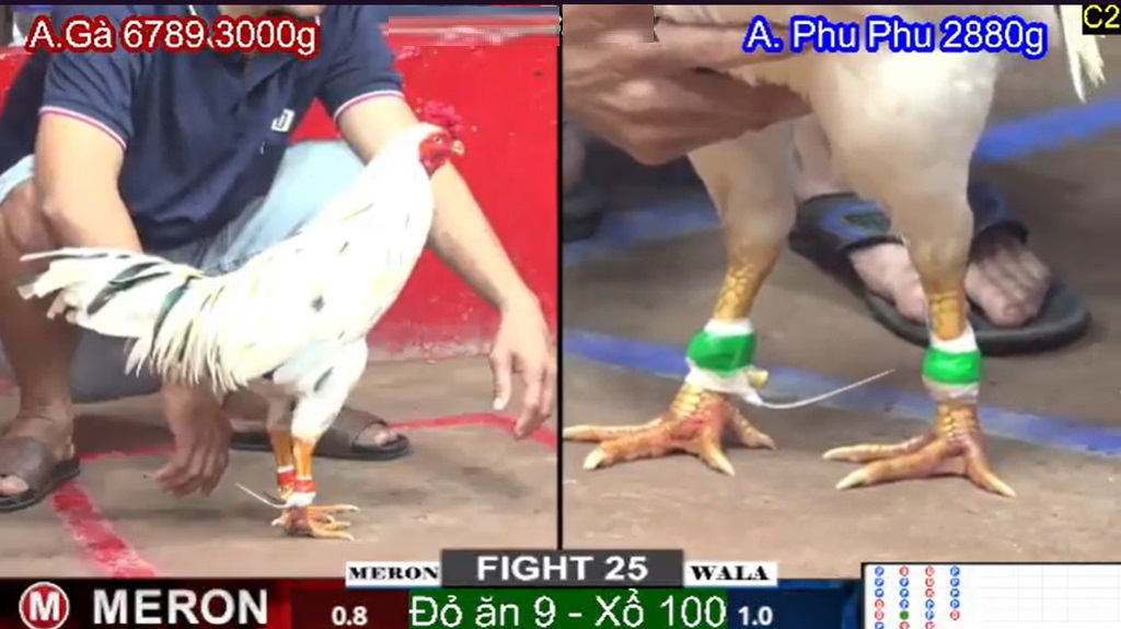 Trực tiếp chất lượng Full HD, tốc độ mượt mà